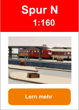 Lern mehr   Spur N 1:160