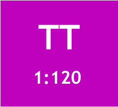 TT 1:120